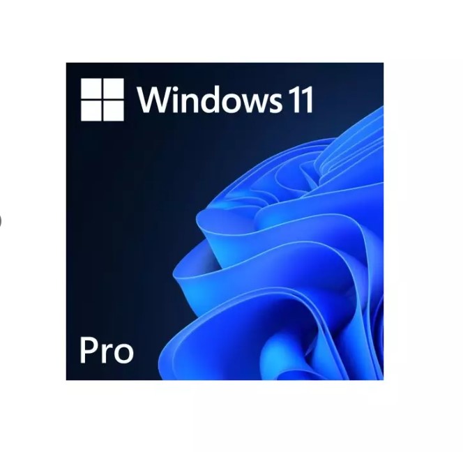 MICROSOFT WINDOWS 11 PROFESSIONAL 64 BIT ENG INTL 1PK DSP OEI DVD